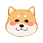 andada798的头像
